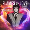 Fancy - Flames of love